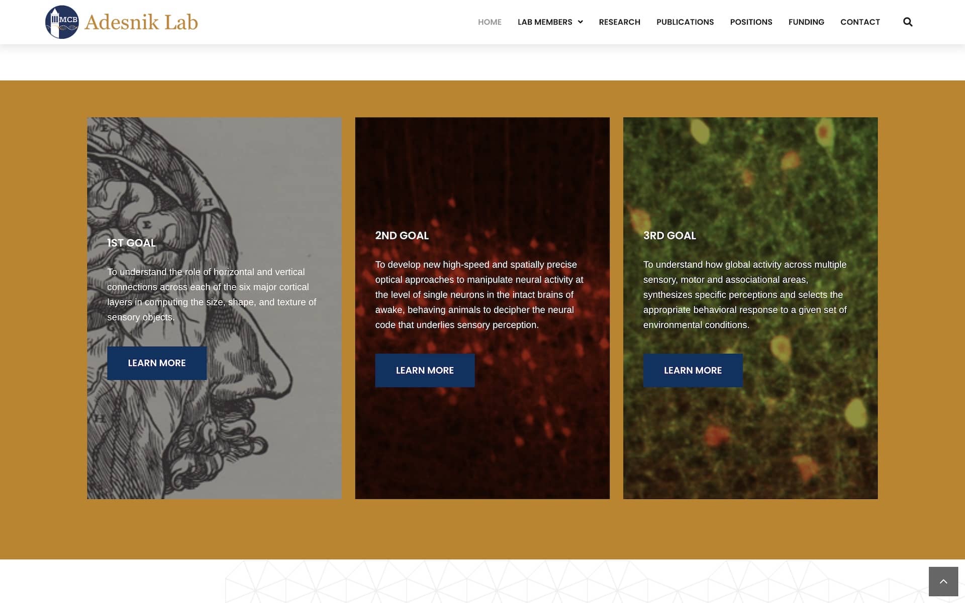 Adesnik Lab Website Page Screenshot
