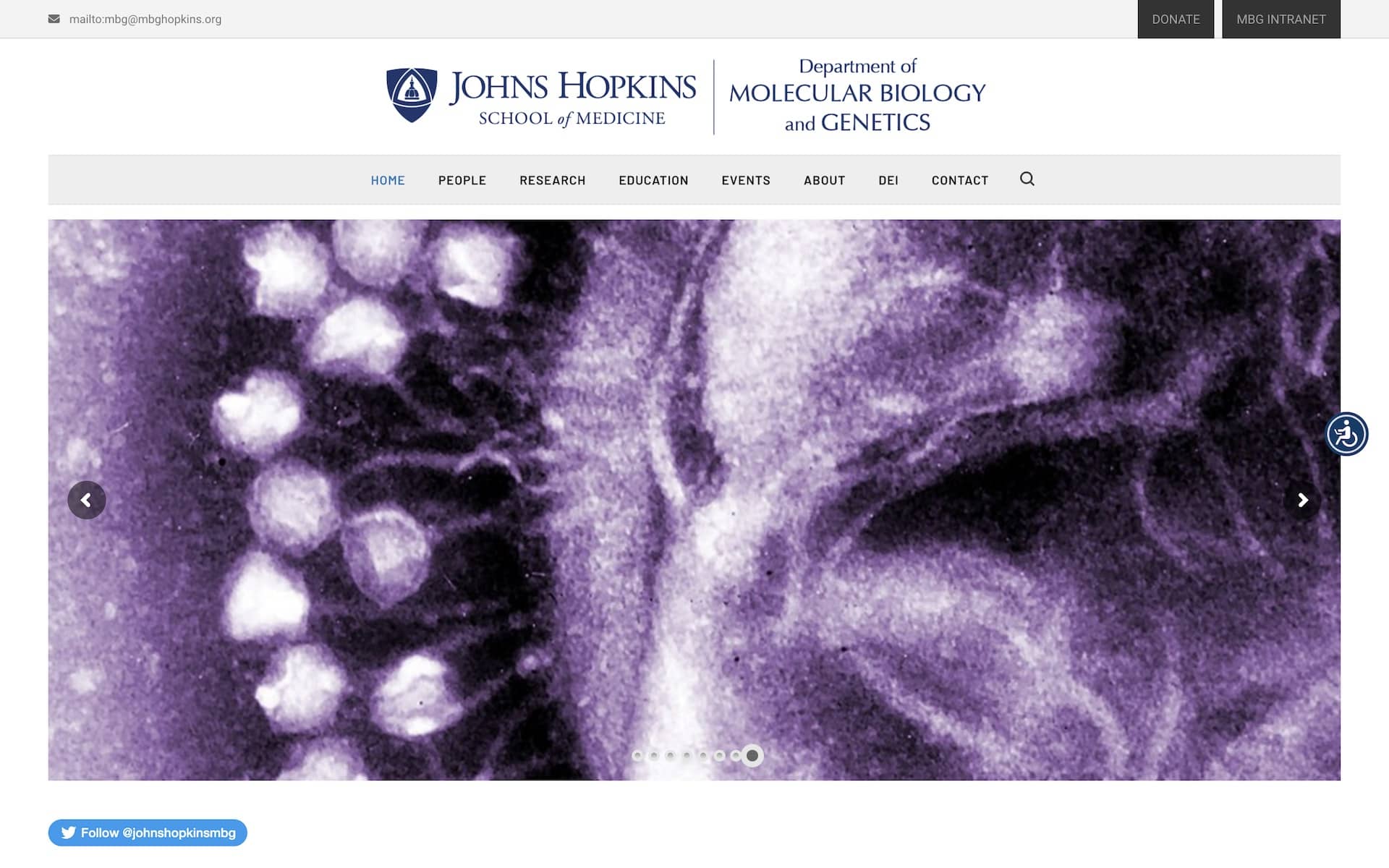 Johns Hopkins Department of Molecular Biology and Genetics Website Page Screenshot