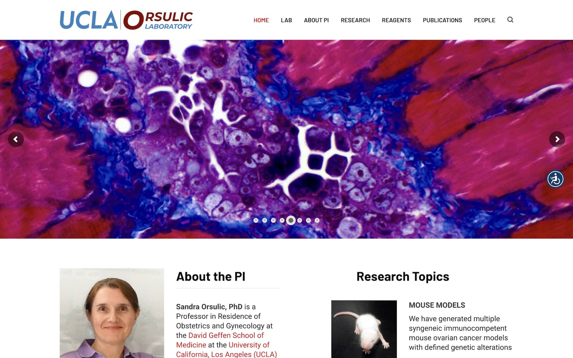 Orsulic Lab Website Page Screenshot