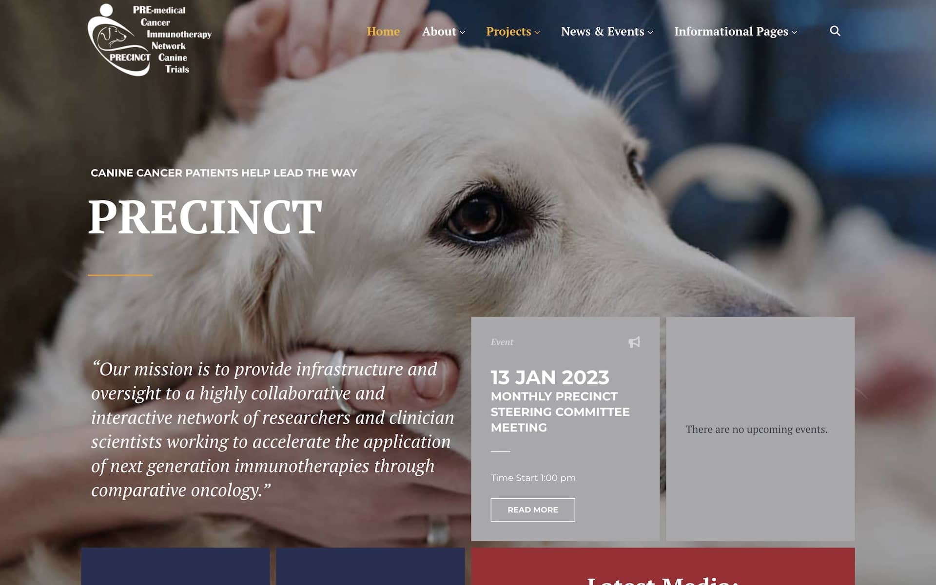 Precinct Network Website Page Screenshot