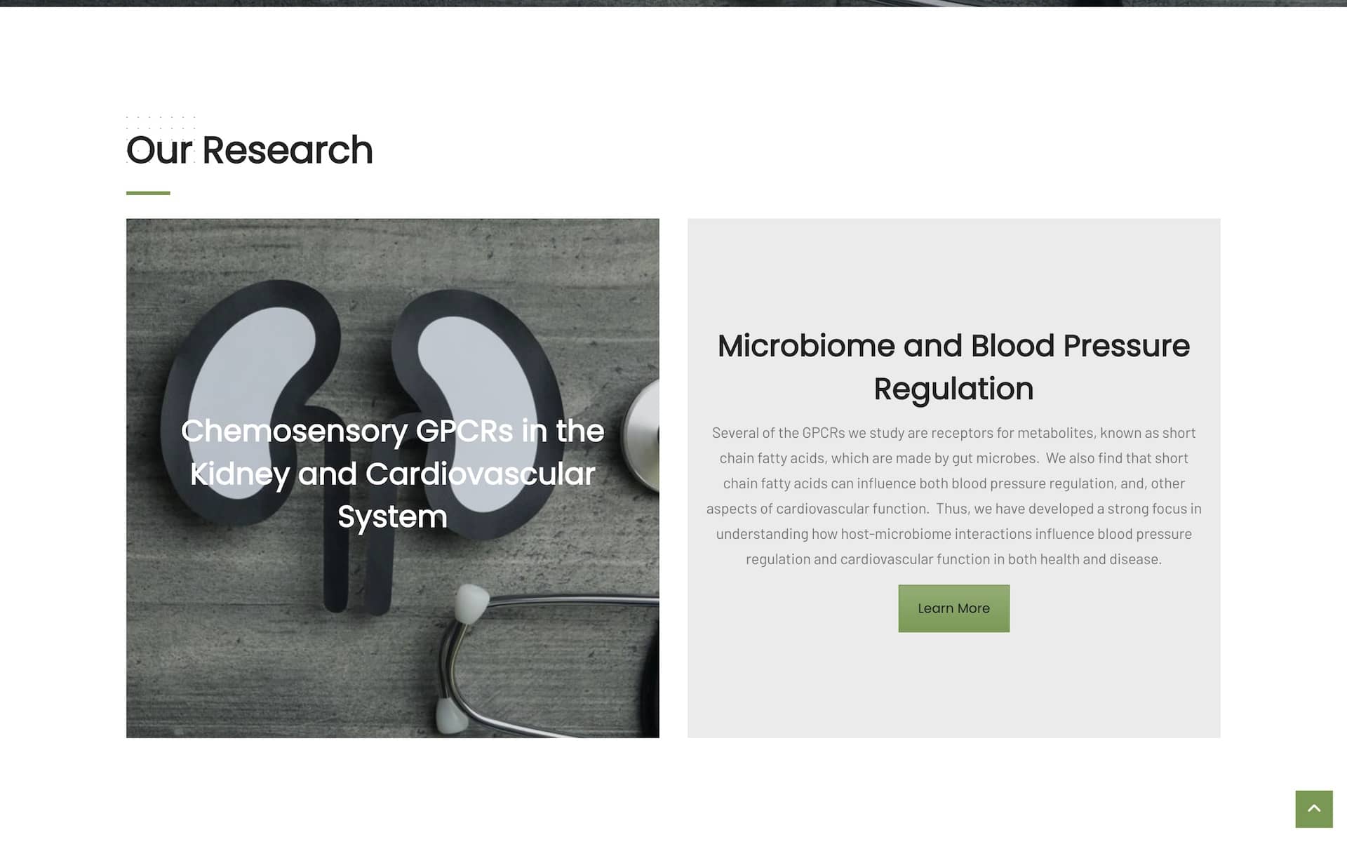 Pluznick Lab Website Page Screenshot