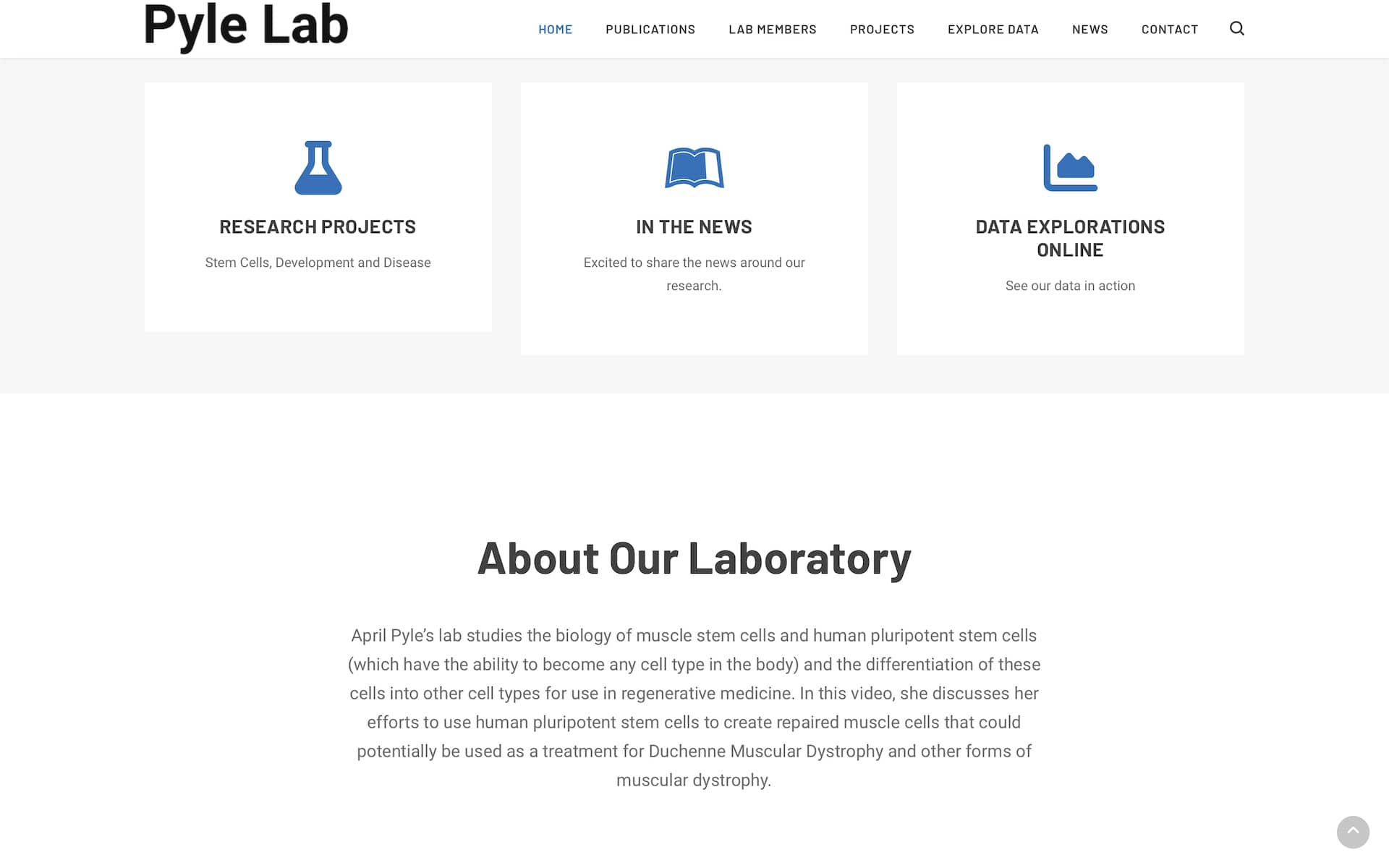 Pyle Lab Website Page Screenshot