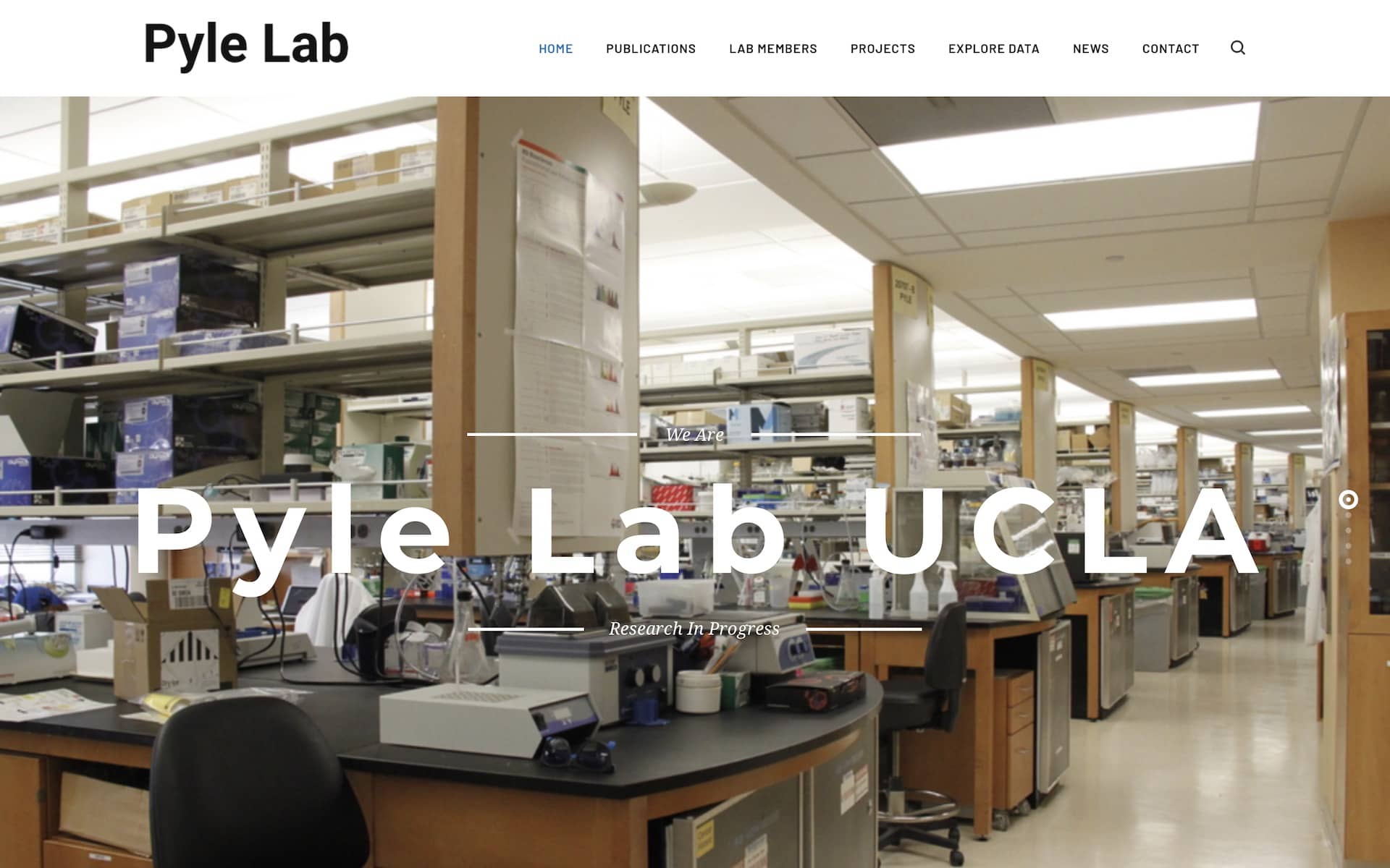 Pyle Lab Website Page Screenshot