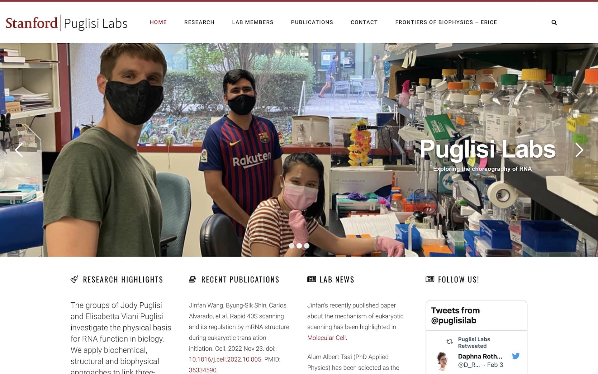 Puglisi Labs Website Page Screenshot