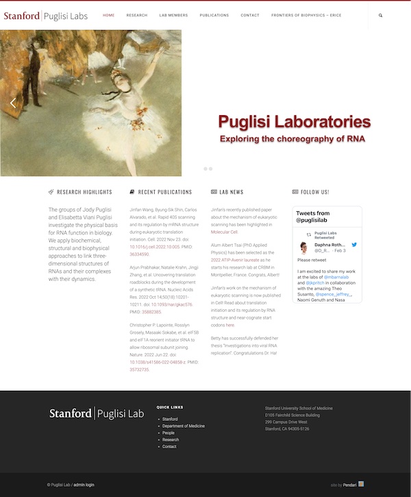 Puglisi Labs Website Full Page Screenshot